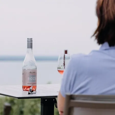 Alloggio in famiglia éliás Borbirtok *