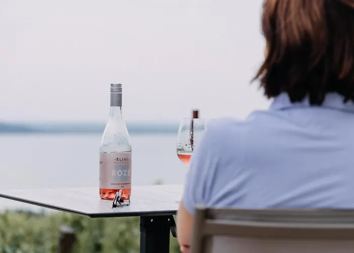 Проживание в семье Elias Borbirtok *