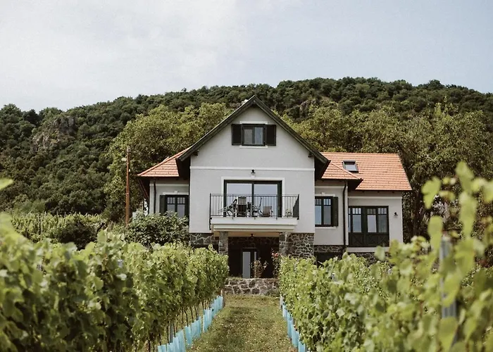 Elias Borbirtok Badacsonytomaj